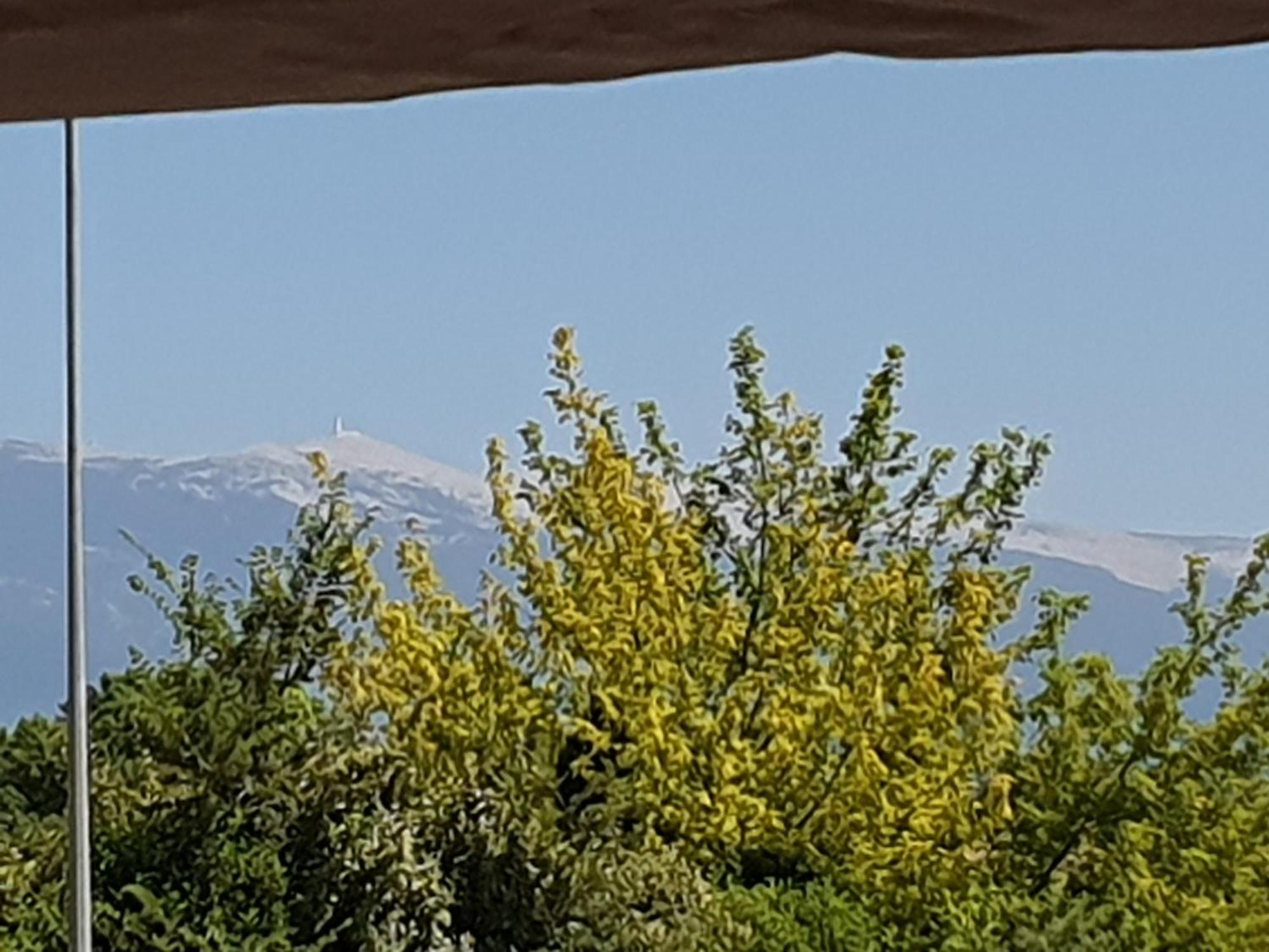 Pura Vida Hotell Mazan Exteriör bild